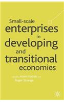 Small Scale Enterprises in Developing and Transitional Economies