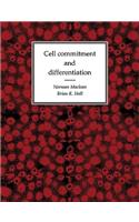 Cell Commitment and Differentiation