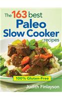 163 Best Paleo Slow Cooker Recipes: 100% Gluten Free
