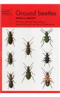 Ground beetles