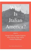 What is Italian America?