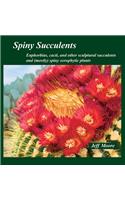 Spiny Succulents
