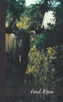 Forest Moose