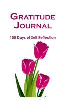Gratitude Journal 100 Days Of Self Reflection