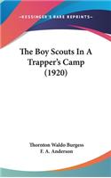 Boy Scouts In A Trapper's Camp (1920)