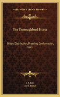 Thoroughbred Horse