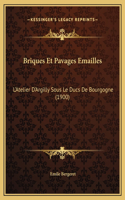 Briques Et Pavages Emailles
