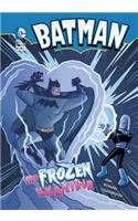 Batman: My Frozen Valentine