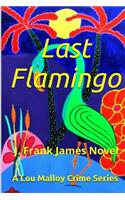 Last Flamingo