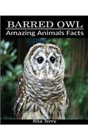 Barred Owl