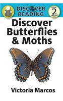 Discover Butterflies & Moths
