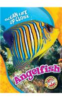 Angelfish