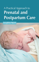 Practical Approach to Prenatal and Postpartum Care