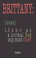 Brittany (noun) 1. Same As A Normal Dog Only Much Cuter