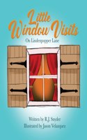 Little Window Visits