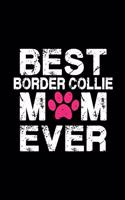 Best Border Collie mom ever