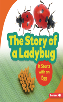The Story of a Ladybug: It Starts with an Egg(Step by Step)