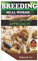 BREEDING Your Own MEAL-WORMS (A COMPLETE GUIDE)