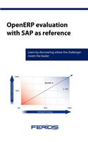 Openerp Evaluation with SAP as Reference