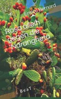Rosa allein gegen die 'Ndrangheta