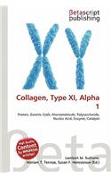 Collagen, Type XI, Alpha 1