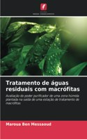 Tratamento de águas residuais com macrófitas