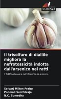 trisolfuro di diallile migliora la nefrotossicità indotta dall'arsenico nei ratti