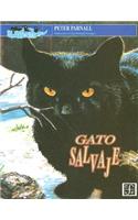 Gato Salvaje