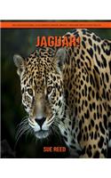 Jaguar! An Educational Children's Book about Jaguar with Fun Facts