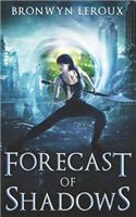 Forecast of Shadows