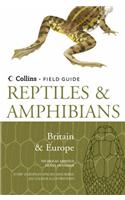 Reptiles and Amphibians of Britain and Europe