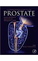 Comprehensive Guide to the Prostate