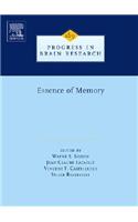 Essence of Memory