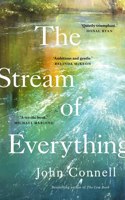 The Stream of Everything