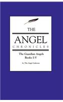The Angel Chronicles: (English)