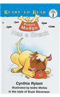 Puppy Mudge Has a Snack