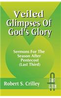 Veiled Glimpses of God's Glory