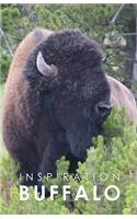 Inspiration Buffalo