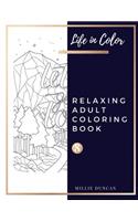 RELAXING ADULT COLORING BOOK (Book 8): Quotes and Inspirational Relaxing Coloring Book for Adults - 40+ Premium Coloring Patterns (Life in Color Series)