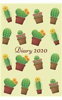 Diary 2020