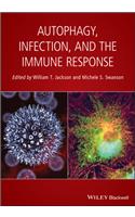 Autophagy, Infection, and the Immune Response