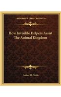 How Invisible Helpers Assist The Animal Kingdom