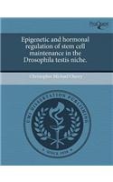 Epigenetic and Hormonal Regulation of Stem Cell Maintenance in the Drosophila Testis Niche