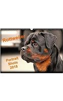 Rottweiler Portait Shots 2018 2018