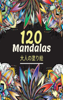 120 Mandalas大人の塗り絵