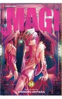 Magi: The Labyrinth of Magic, Vol. 14, 14: The Labyrinth of Magic