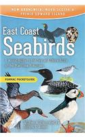 East Coast Seabirds