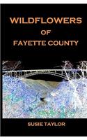 Wildflowers of Fayette County