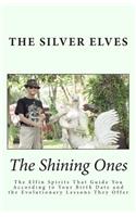 Shining Ones: The Elfin Spirits That Guide You According to Your Birth Date and the Evolutionary Lessons They Offer