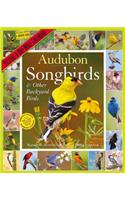 2019 Audubon Songbirds and Other Backyard Birds Picture-A-Day Wall Calendar